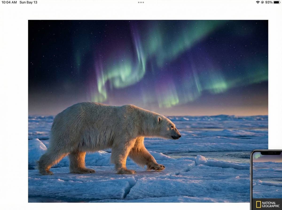 帝王会所北极熊视频演示